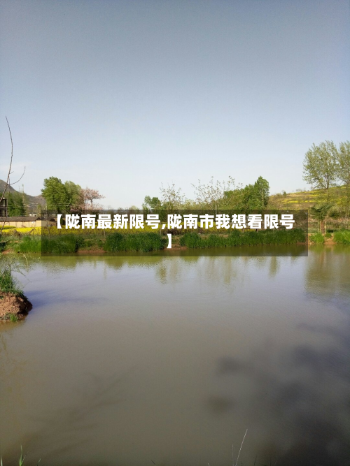 【陇南最新限号,陇南市我想看限号】-第3张图片