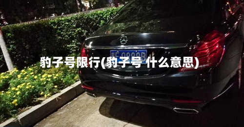 豹子号限行(豹子号 什么意思)