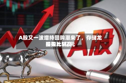 A股又一波增持回购潮来了，存储龙头拟比较高回购2.5亿元-第2张图片