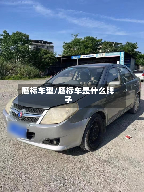 鹰标车型/鹰标车是什么牌子
