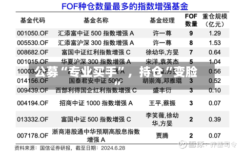 公募“专业买手	”	，持仓“变脸”-第3张图片