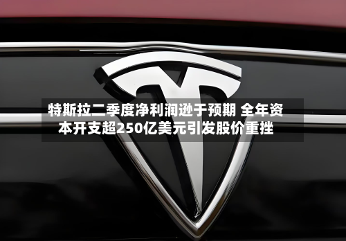 特斯拉二季度净利润逊于预期 全年资本开支超250亿美元引发股价重挫-第3张图片