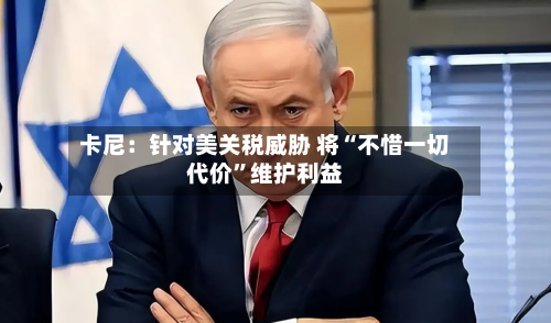 卡尼：针对美关税威胁 将“不惜一切代价	”维护利益-第2张图片