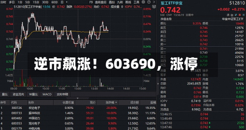 逆市飙涨！603690，涨停-第2张图片