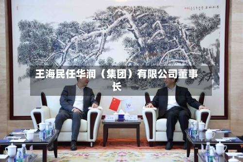 王海民任华润（集团）有限公司董事长-第3张图片