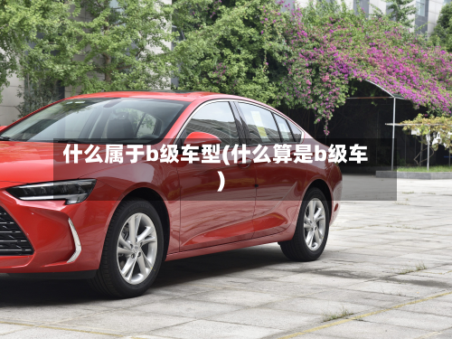 什么属于b级车型(什么算是b级车)