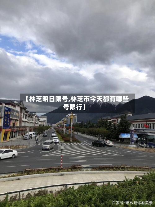 【林芝明日限号,林芝市今天都有哪些号限行】-第2张图片