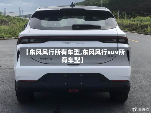 【东风风行所有车型,东风风行suv所有车型】-第2张图片