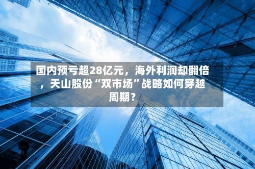 国内预亏超28亿元，海外利润却翻倍，天山股份“双市场	”战略如何穿越周期？-第3张图片