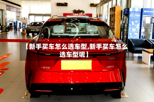 【新手买车怎么选车型,新手买车怎么选车型呢】-第2张图片