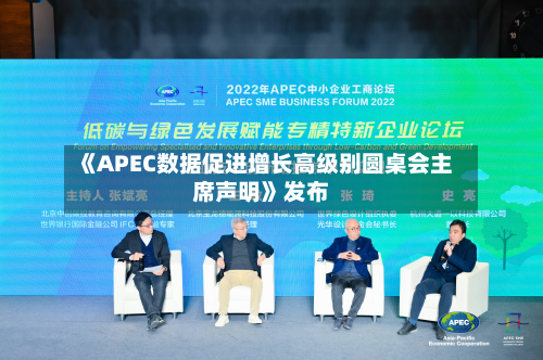 《APEC数据促进增长高级别圆桌会主席声明》发布-第2张图片