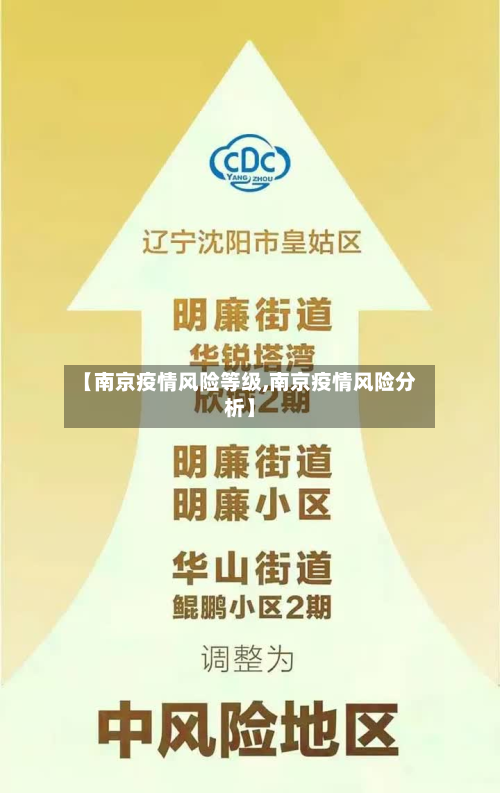 【南京疫情风险等级,南京疫情风险分析】-第2张图片