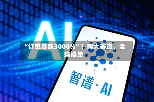 “订单暴涨3000%”！两大赛道	，全球爆单-第2张图片