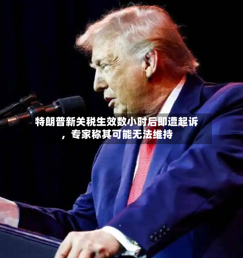 特朗普新关税生效数小时后即遭起诉，专家称其可能无法维持-第3张图片