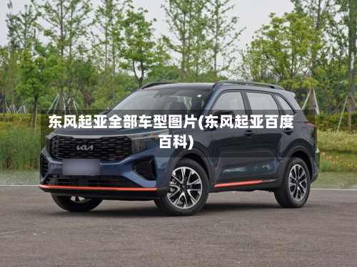 东风起亚全部车型图片(东风起亚百度百科)-第3张图片