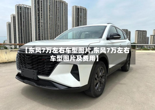 【东风7万左右车型图片,东风7万左右车型图片及费用】