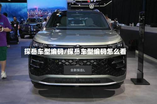 探岳车型编码/探岳车型编码怎么看